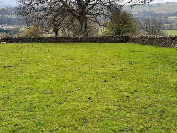 Non-electric grass tent pitch