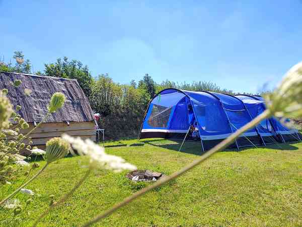 Staplaats voor een tent op gras zonder elektriciteit (eigen badkamer)