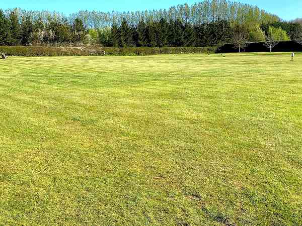 Emplacement sur herbe sans électricité
