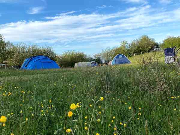 Meadow primitive grass tent or trailer tent site (2 adults and 2 children)