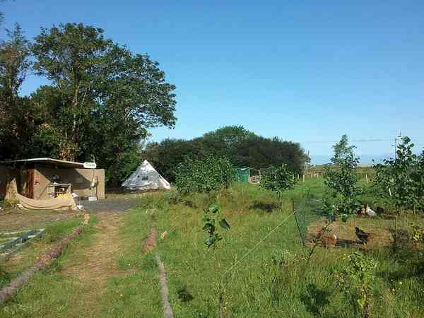 Non-electric grass pitch