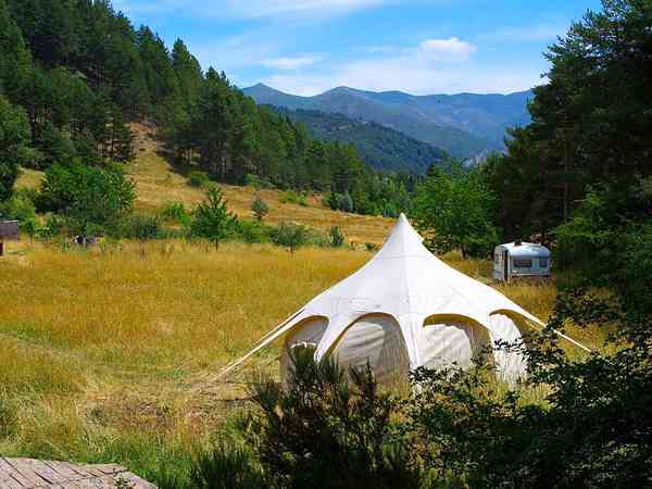 Honeysuckle bell tent