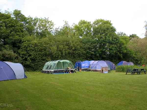 Non-electric grass tent pitch (four person)
