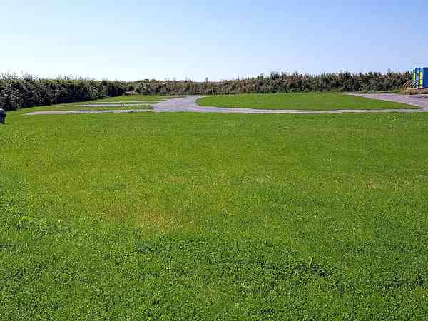 Non-electric hardstanding and grass touring pitch