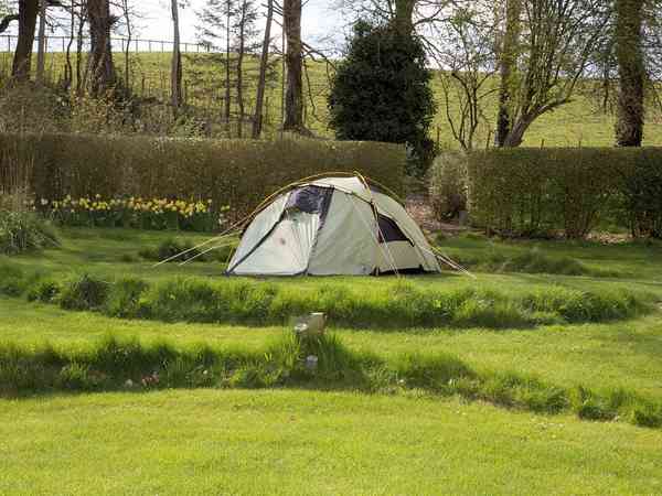 Walled Garden non-electric grass tent pitch (small)