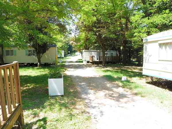 Camping Rochecondrie Viviers Tarifs 2020 Pitchup