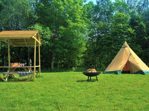 Covered picnic benches and firepits Covered picnic benches and firepits