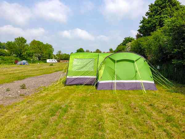 Electric grass and earth pitch