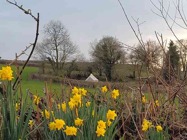 The Brambles bell tent