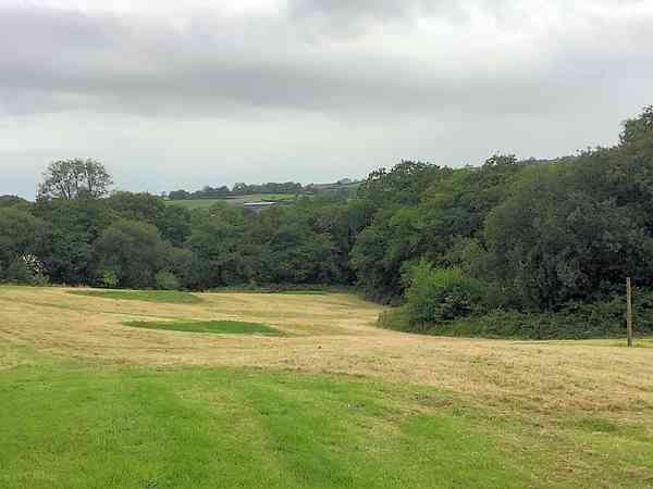 Primitive grass tent site