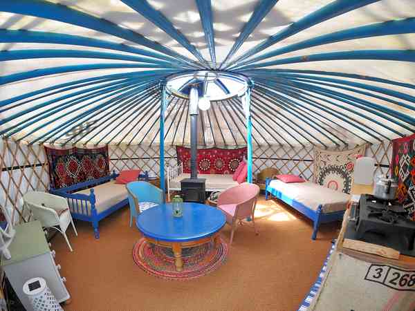 Willow yurt
