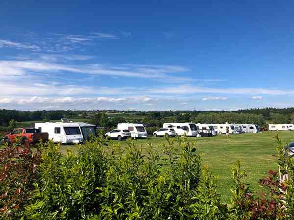 Electric grass pitch