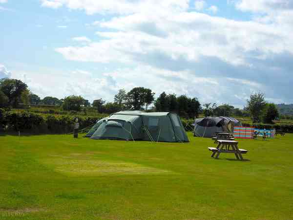 Grass hook-up pitches in the meadow Grass hook-up pitches in the meadow