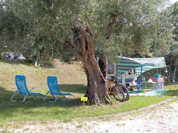 Powered grass travel trailer site