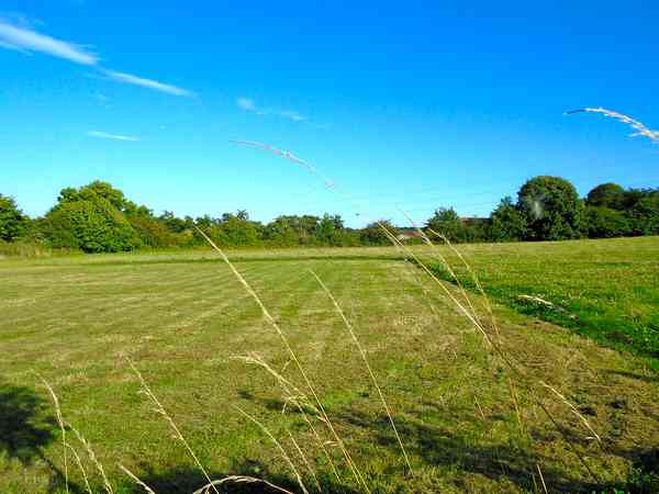Non-electric grass motorhome pitch