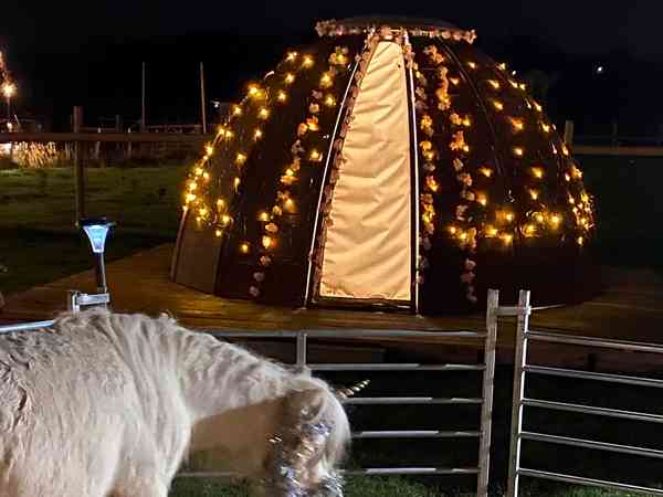 Fairy Dome camping pod