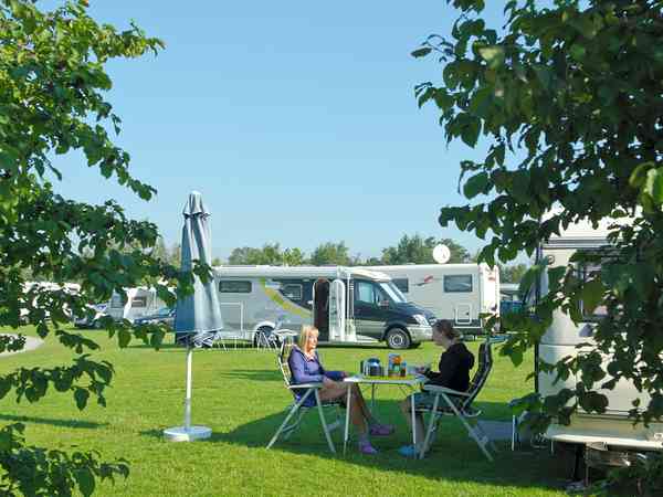 Electric optional grass pitch (comfort)