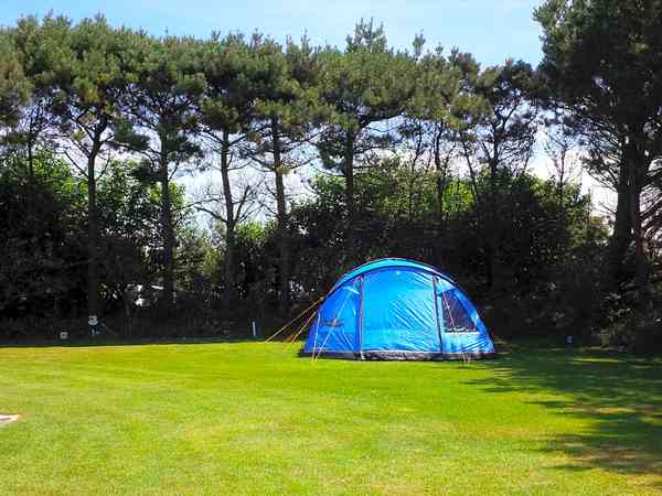 Emplacement pour tente sur herbe avec électricité optionnelle