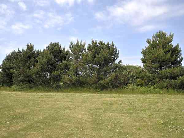 Non-electric grass tent pitch