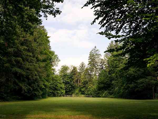 Plass for campingvogn på gressplen og grus , med muligheter for strøm