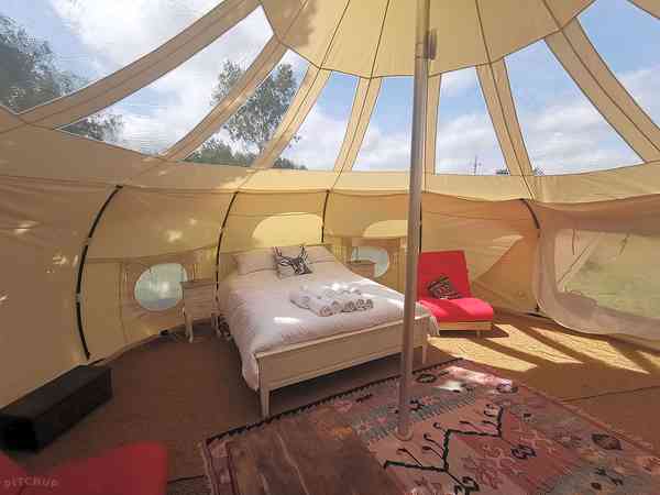 Seren Stargazer Lotus bell tent