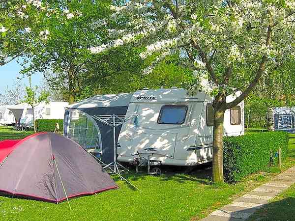 Electric optional grass tent, trailer tent or touring caravan pitch
