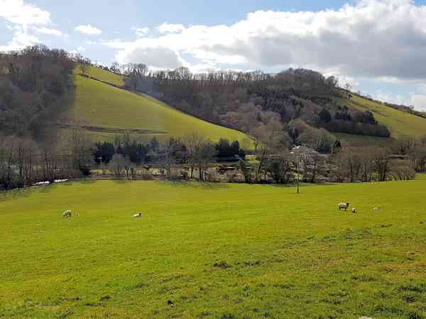 Plenty of open green space on site Plenty of open green space on site