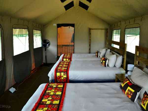 safaritelt (for familier)