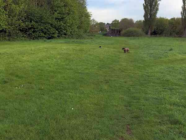 Non-electric grass tent or motorhome pitch