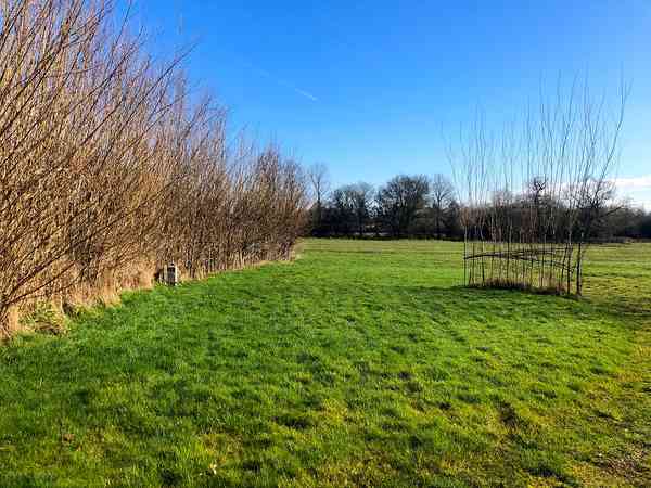 Willow Bank electric grass tent, trailer tent or campervan pitch