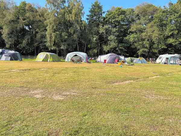 Powered grass site