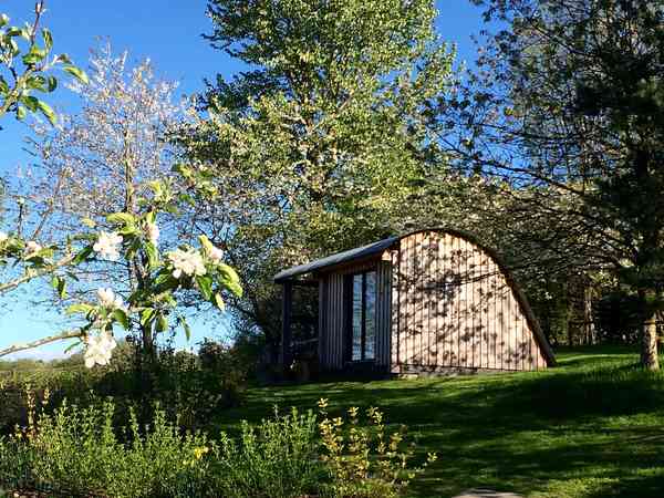 Willow camping pod (2 adults and 2 children)