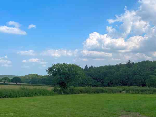 Non-electric grass tent pitch
