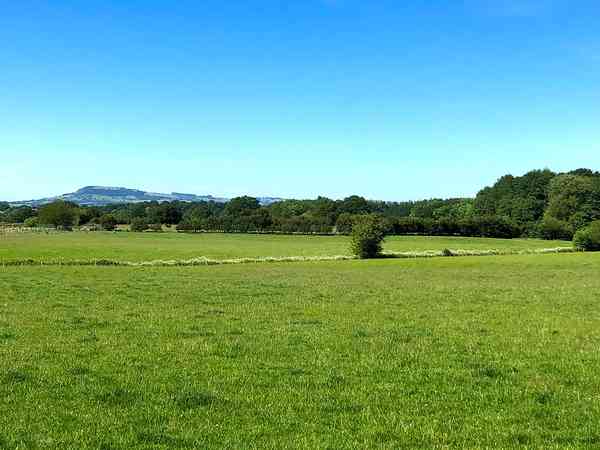 Non-electric grass tent pitch