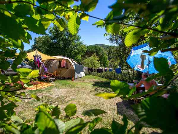 Fully-equipped pitch with sunbeds, table, umbrella and shed with fridge, microwave and barbecue Fully-equipped pitch with sunbeds, table, umbrella and shed with fridge, microwave and barbecue