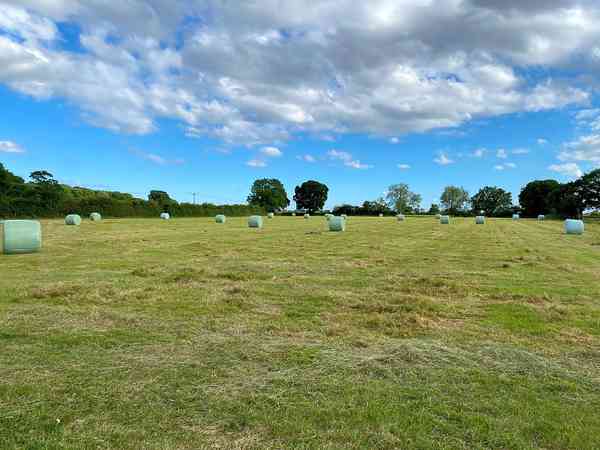 Emplacement pour tente ou pour caravane pliante sur herbe sans électricité