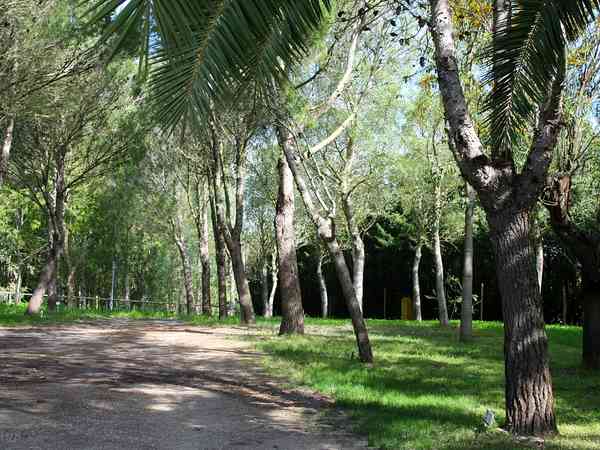 Around the site Around the site
