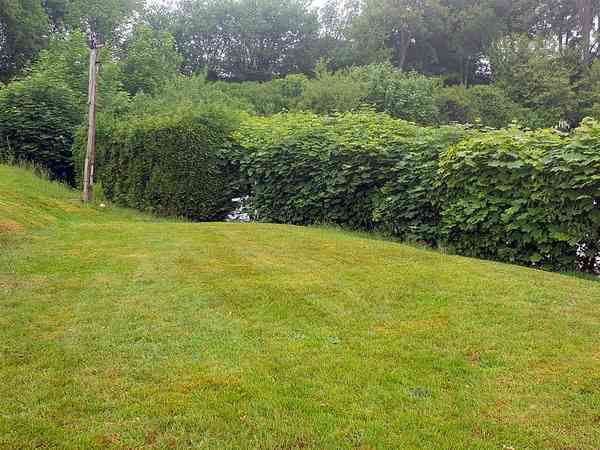 Emplacement pour tente sur herbe sans électricité