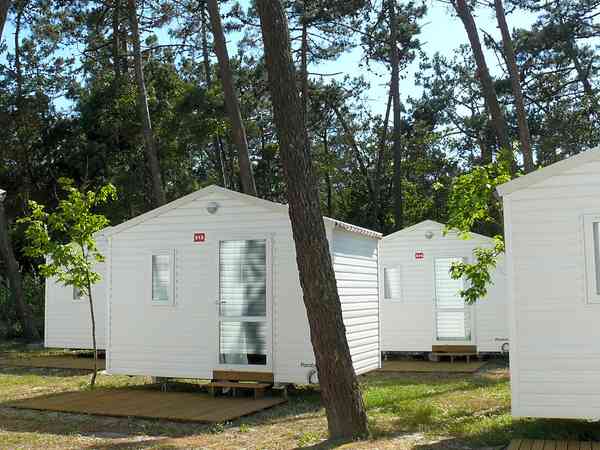 Cabins Cabins