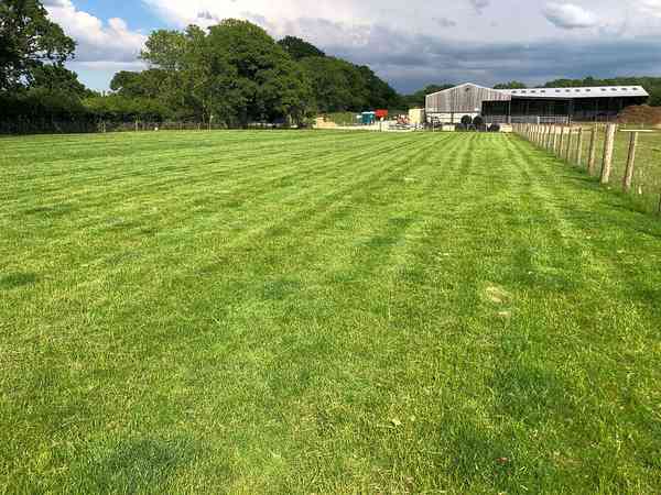 Mown flat pitches Mown flat pitches