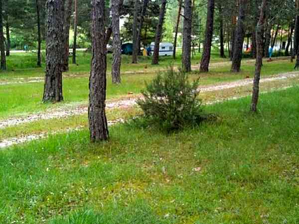 Electric grass pitch