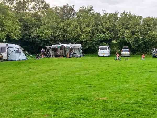 Power optional grass site