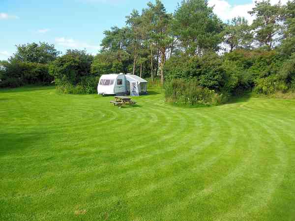 Well-kept grass pitches Well-kept grass pitches