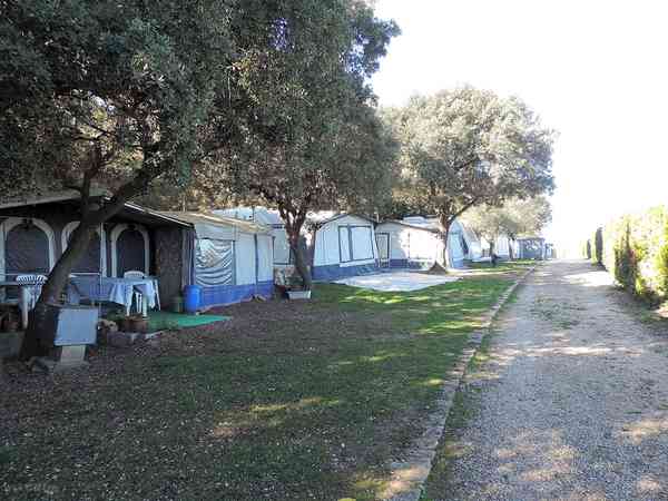 Power optional forest floor motorhome site