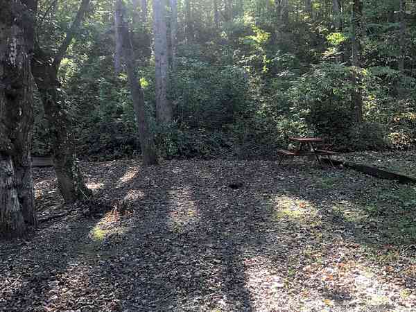 Primitive grass tent site (2 adults and 2 children)