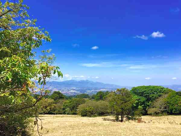 Anturio powered grass tent site
