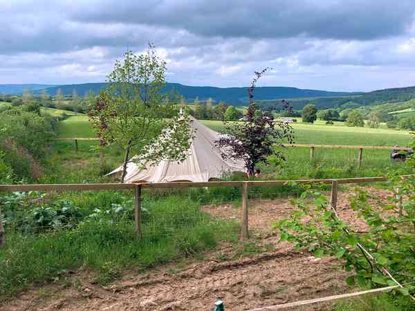 Allerbell bell tent (2 adults and 2 children)