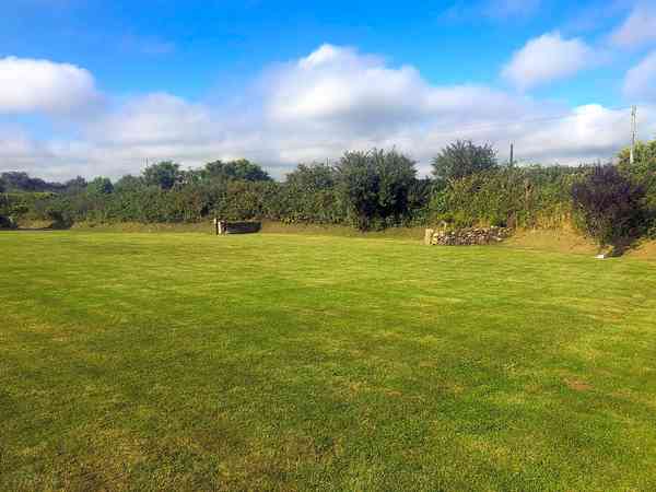 Grass Electric Pitch Grass Electric Pitch