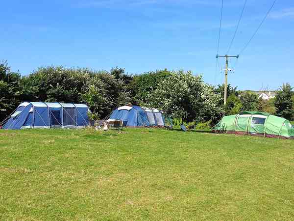 Non-electric grass tent pitch (large)