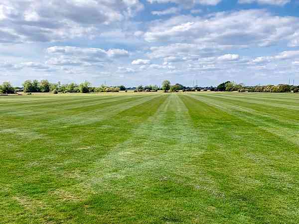 Grass pitches Grass pitches